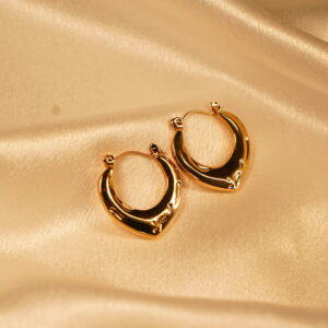 Hoops Anti Tarnish Earrings